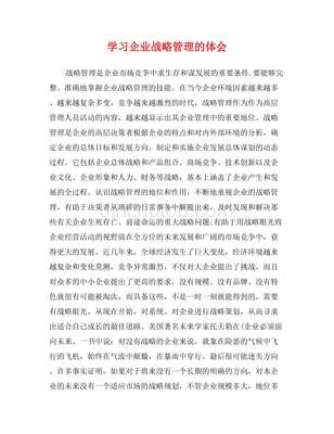 學習企業(yè)戰(zhàn)略管理的體會